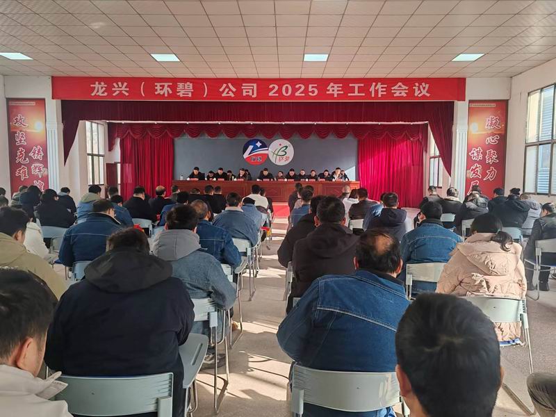 龙兴(米兰官方网站-米兰milan(中国)
)公司召开2025年工作会议